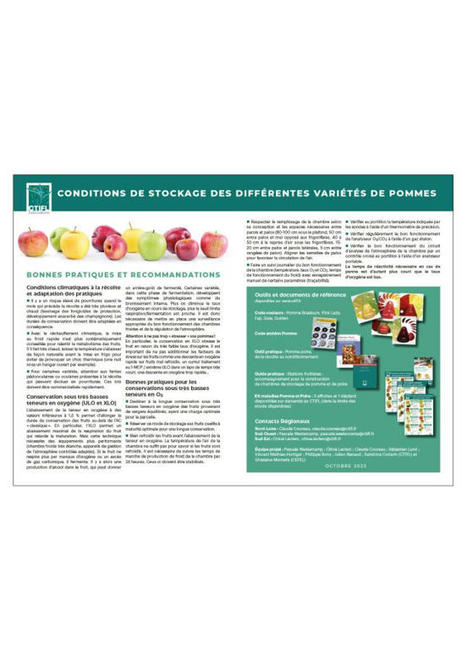 Conditions de stockage des différentes variétés de pommes - CTIFL | HORTICULTURE | Scoop.it
