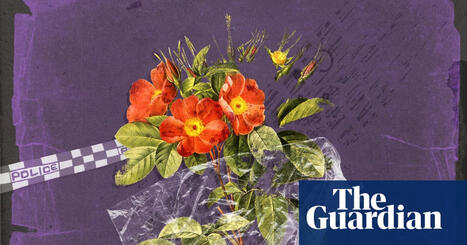 ‘Cannot believe it’s still happening’: readers respond to ‘heartbreaking’ domestic violence homicides | Australia news | The Guardian | Operation Oya | Scoop.it