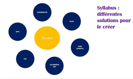 Syllabus de cours : points-clés et astuces de création – D.S.I. | Actus TICE Universitaires | Scoop.it