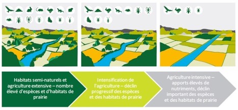 Caractérisation et diffusion des actions favorables à la biodiversité en milieu agricole | Les Colocs du jardin | Scoop.it