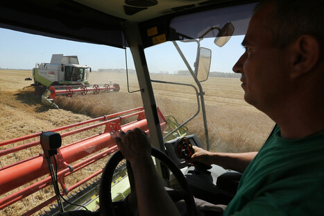 Russia Dominates Wheat Market as Soggy Fields Push Out France | MED-Amin network | Scoop.it