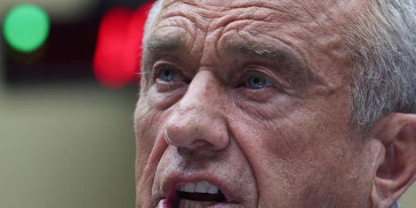 Robert F. Kennedy Jr.'s alleged 'lewd sex-act' texts with former flame exposed - Raw Story | Operation Oya | Scoop.it