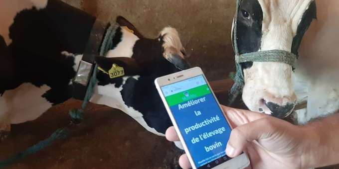 En Tunisie, l’agriculture fait sa révolution numérique