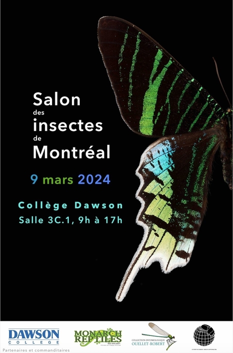Le Salon des Insectes de Montréal 2024 aura lieu le samedi 9 mars 2024 au collège Dawson | Variétés entomologiques | Scoop.it