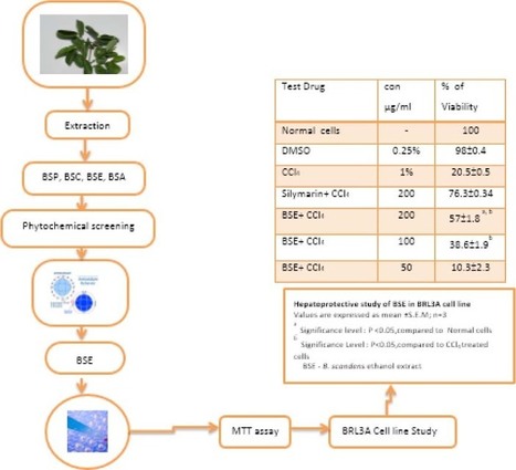 Zar 9 Build 38 Keygen Software