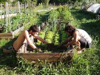 &Agrave; la fac de Bordeaux, les &eacute;tudiants choisissent l'option jardin | Economie Responsable et Consommation Collaborative | Scoop.it