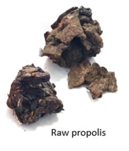 La propolis produite par les abeilles réduit l’acné | EntomoNews | Scoop.it