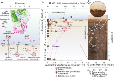 Seasonality of lake microbial denitrification and its sensitivity to climate warming | Nmb | RMH | Scoop.it
