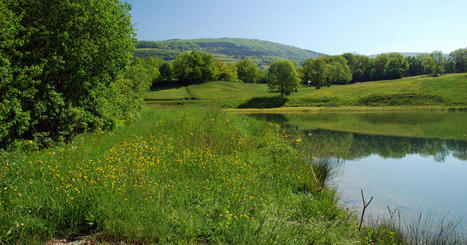 Biodiversité - Actu Environnement | Pour innover en agriculture | Scoop.it