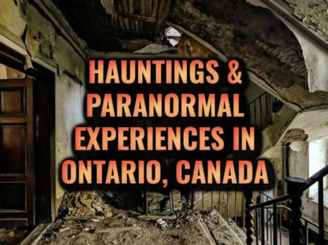 Phantoms and Monsters - Real Eyewitness Cryptid Encounter Reports | Strange Ontario | Scoop.it