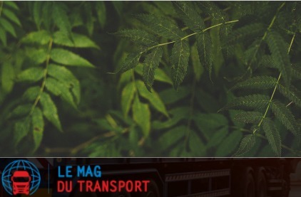 Les entreprises françaises en logistique, bonnes élèves de la performance RSE en Europe | EcoVadis dans la Presse | Scoop.it