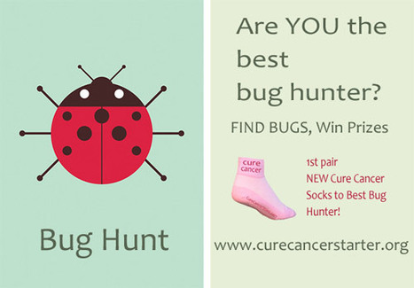 Go On A BUG HUNT on CureCancerStarter.org To Win Some Cool Cure Cancer Socks | Must Design | Scoop.it