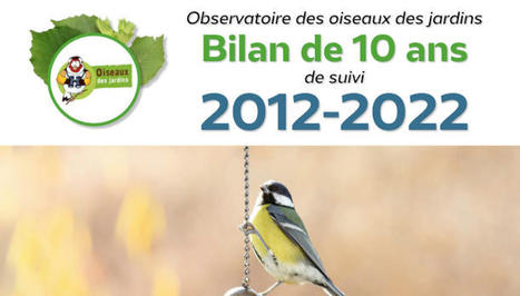 Comptage des oiseaux des jardins : bilan de 10 ans de sciences citoyennes - LPO | Biodiversité | Scoop.it