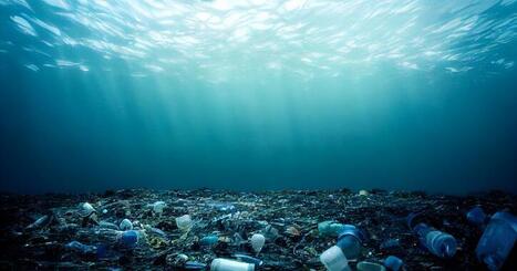 Waste Energy Corp Reports Q3 2025 Financial Results: Third Consecutive Quarter of Revenue Growth as Company Approaches Commercial Launch | National Business News | voiceofalexandria.com | Industry 411 - Waste Management | Scoop.it