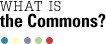 From Knowledgable to Knowledge-able: Learning in New Media Environments | Academic Commons | Learning & Technology News | Scoop.it