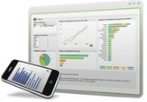 Business Intelligence (BI) Software Solutions - Business Intelligence Reporting Software | QlikView | BI Revolution | Scoop.it