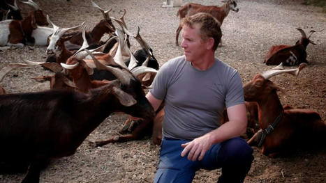 Haute-Provence : un premier abattoir mobile pour ovins et caprins dans le Luberon | Actualité Bétail | Scoop.it