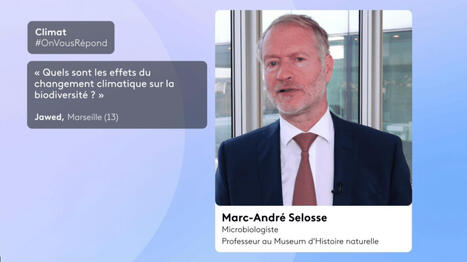 Quels sont les effets du changement climatique sur la biodiversit&eacute; ? OnVousR&eacute;pond Climat | Biodiversit&eacute;, &Eacute;cologie et Environnement | Scoop.it