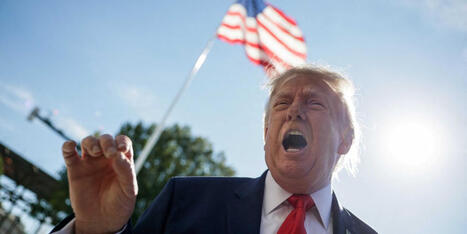 'Quiet!' Trump melts down at 'horrible little reporter' over sexual abuse claims - Raw Story | Operation Oya | Scoop.it