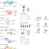 from Flow Cytometry to Cytomics