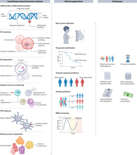 Towards liquid biopsy-based analysis of antitumour immunity - Nature Reviews Clinical Oncology | European Liquid Biopsy Society (ELBS) | from Flow Cytometry to Cytomics | Scoop.it