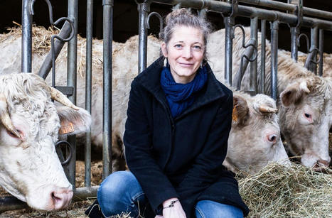 Bien-être animal : cette agricultrice va lancer le premier abattoir mobile pour bovins de France | Actualité Bétail | Scoop.it