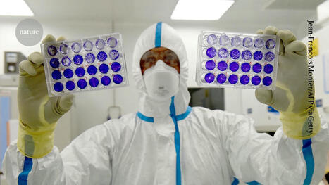 Public Trust in Science Has Declined Since COVID — Virologists Need to Unite Around Safety Standards | Virus World | Scoop.it