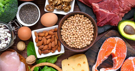 Les protéines et l’alimentation | AGROALIMENTAIRE | Scoop.it