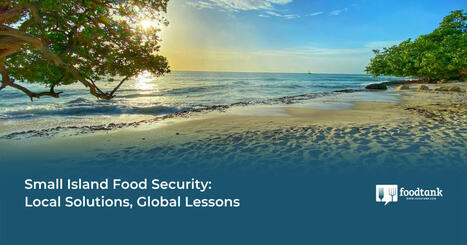 Small Island FOOD SECURITY: Local Solutions, Global Lessons  | CIHEAM Press Review | Scoop.it