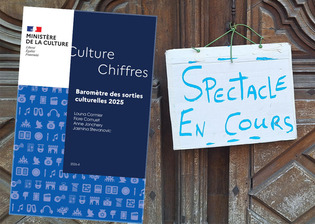 Les sorties culturelles des Fran&ccedil;ais marquent le pas | Une semaine d'actu - Newsletter de veille de l'AURH | Scoop.it