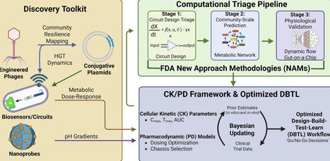 Systems engineering of engineered live biotherapeutics: A discovery-to-translation framework for streamlining microbiome therapeutic development | RMH | Scoop.it