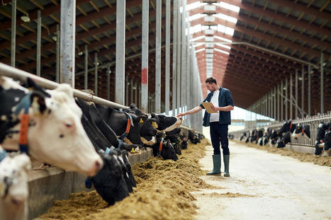 Bien-être des animaux : quels critères scientifiques pour construire un étiquetage des produits alimentaires ? | Alimentation Santé Environnement | Scoop.it