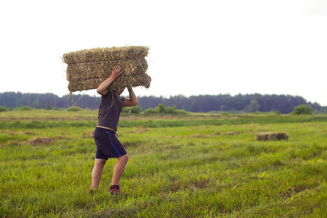 &laquo;&nbsp;Un lundi matin au boulot&nbsp;&raquo;&nbsp;: ces jeunes agriculteurs qui parodient l&rsquo;hyrox pour montrer leur m&eacute;tier | Strat&eacute;gie de territoires et offices de tourisme | Scoop.it
