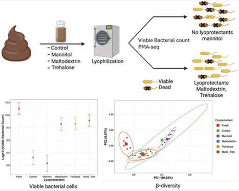 Trehalose and maltodextrin preserve microbial community structure in freeze-dried fecal samples for fecal microbiota transplantation | isme | RMH | Scoop.it