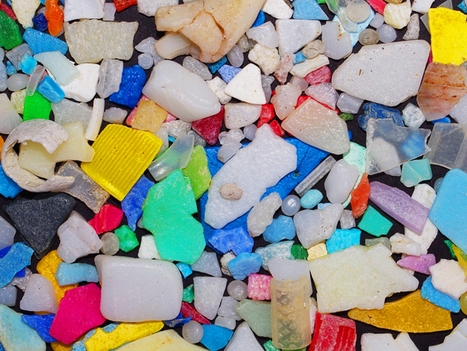 Los microplásticos conquistan el planeta | tecno4 | Scoop.it