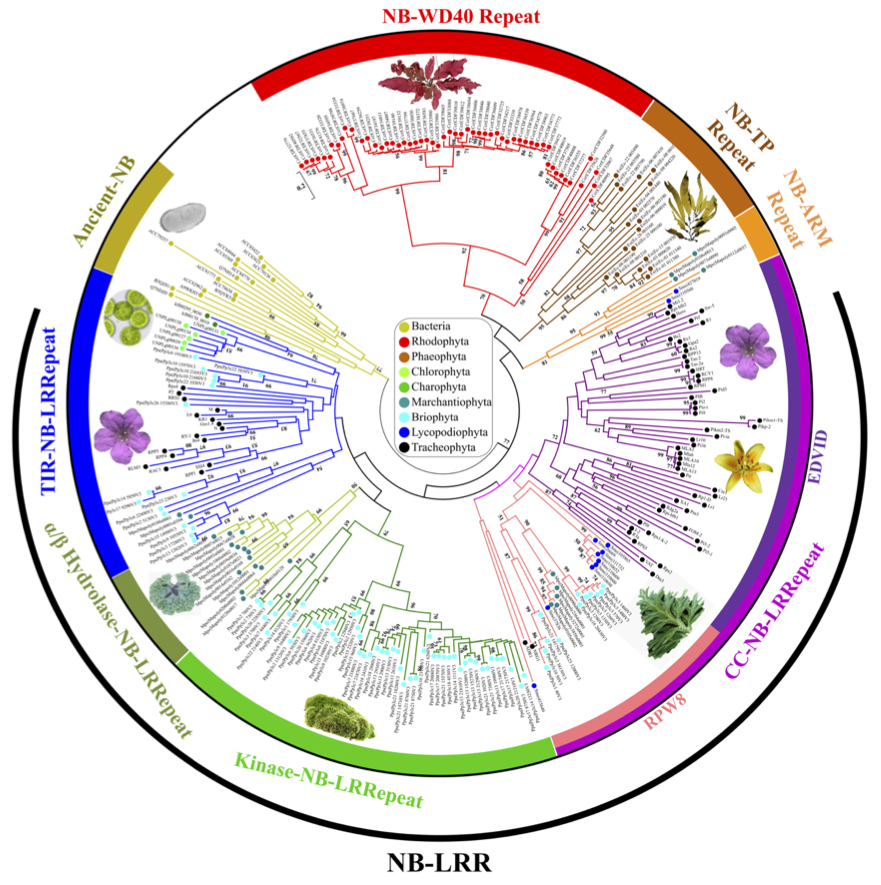 Genome Biology and Evolution: Alien domains sha...