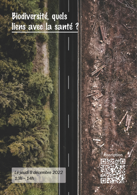 Webinaire. Biodiversit&eacute;, quels liens avec la sant&eacute; ? | EntomoScience | Scoop.it