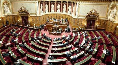 Loi « séparatisme » : Le Sénat vote un texte nettement durci | La "Laïcité" dans la presse | Scoop.it