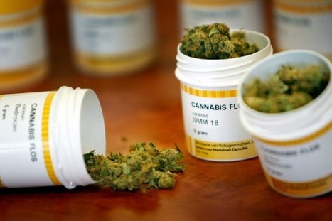 France : le cannabis thérapeutique autorisé | ACTUALITÉ | Scoop.it