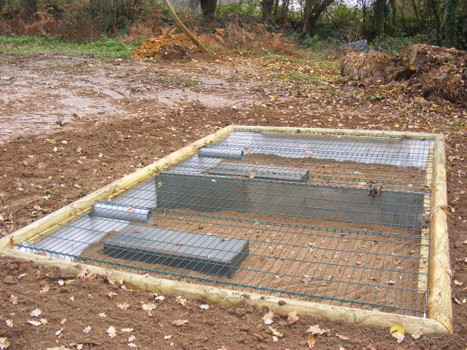 [Blog Témoignage] Phyto-épuration et Récupération eau de pluie | Build Green, pour un habitat écologique | Scoop.it