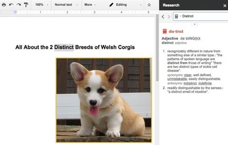 15 Google Doc Features You Didn't Know Existed (But Totally Should) | Time to Learn | Scoop.it