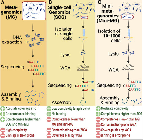 Cultivation-independent high-quality microbial genome reconstruction from environmental samples with midi-metagenomics | RMH | Scoop.it