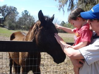 Teaching Kids to Have Empathy for Animals | Empathy and Animals | Scoop.it