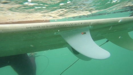 SmartFin gathers ocean data while users surf | Coastal Restoration | Scoop.it