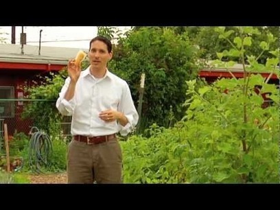 WE'RE BEING HAD FOLKS: Why Twinkies Are Cheaper than Carrots | YOUR FOOD, YOUR ENVIRONMENT, YOUR HEALTH: #Biotech #GMOs #Pesticides #Chemicals #FactoryFarms #CAFOs #BigFood | Scoop.it