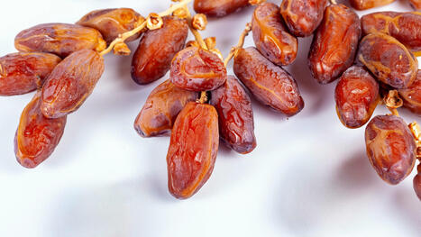 Dates: A Natural Sweetener with Health Benefits | Call: 915-850-0900 or 915-412-6677 | The Gut "Connections to Health & Disease" | Scoop.it