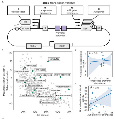 A scalable transposon mutagenesis system for non-model bacteria | brvsys | RMH | Scoop.it