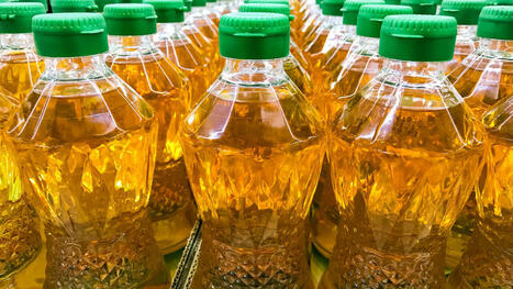 RESSOURCES : La demande croissante de biocarburants et les risques li&eacute;s &agrave; El Ni&ntilde;o font grimper les prix de l'huile de palme&nbsp; | RESSOURCES | Scoop.it