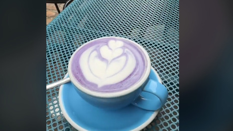 ALIMENTATIONS : Qu’est-ce que l’ube, à l’origine d’une nouvelle boisson tendance qui pourrait détrôner le matcha ?  | ALIMENTATIONS | Scoop.it