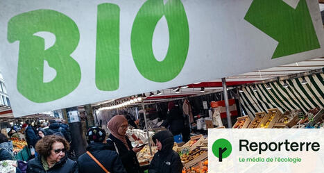 Le bio est-il condamné ? Un rapport dessine quatre futurs possibles pour la filière | Attitude BIO | Scoop.it